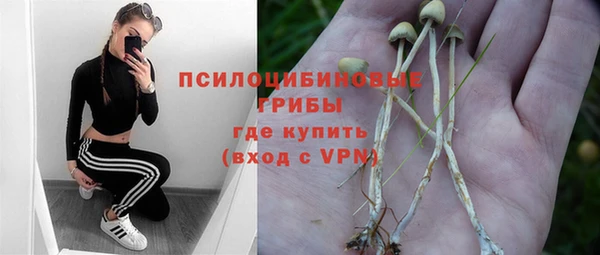 героин Алзамай