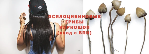 героин Алзамай