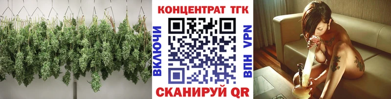 ТГК Wax  Ачхой-Мартан 