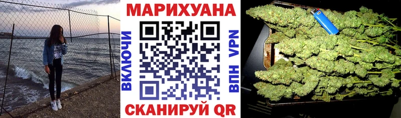 наркотики  Ачхой-Мартан  Конопля индика 
